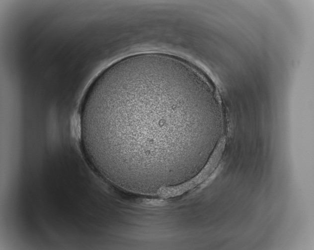 X0000102401509200808081254