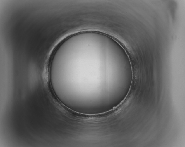 X0000102401510200808081254