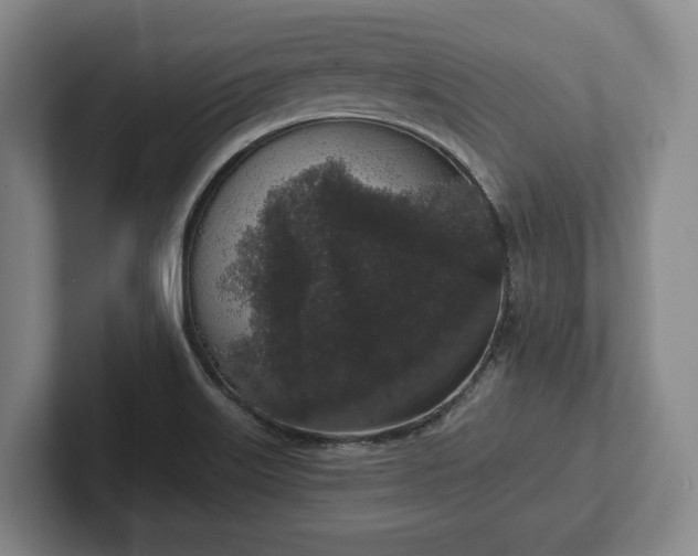 X0000102401515200808081254