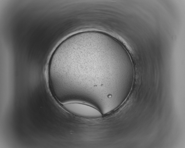 X0000102401516200808081254