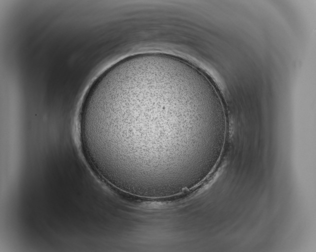 X0000102401517200808081254