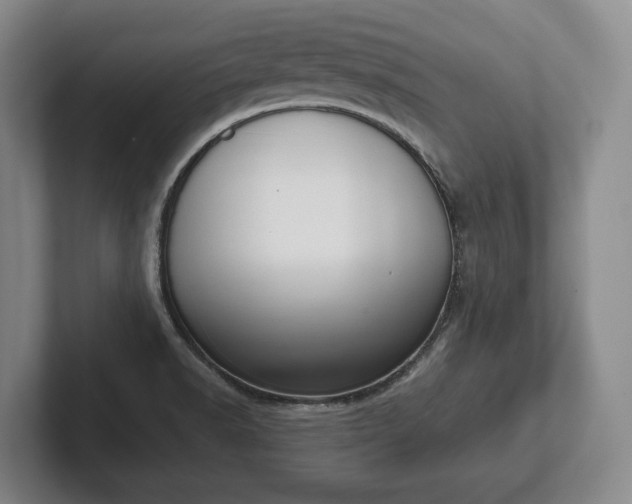 X0000102401518200808081254