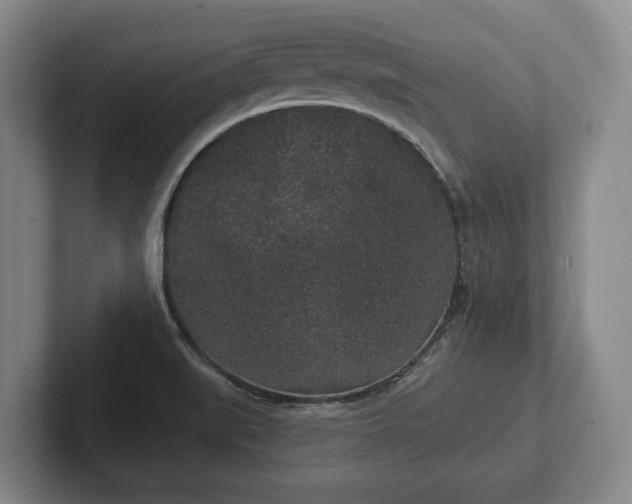 X0000102401519200808081254