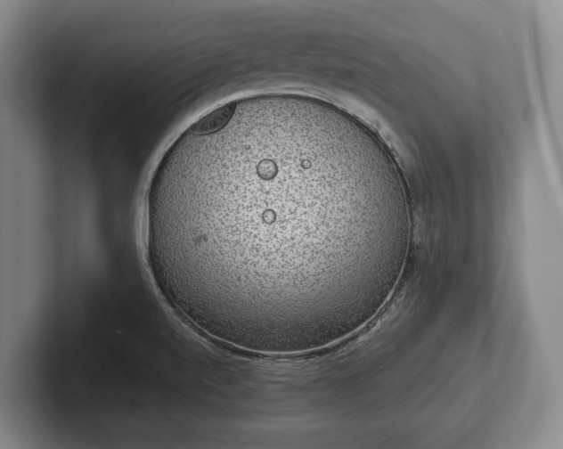 X0000102401520200808081254