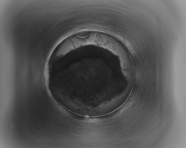 X0000102401522200808081254