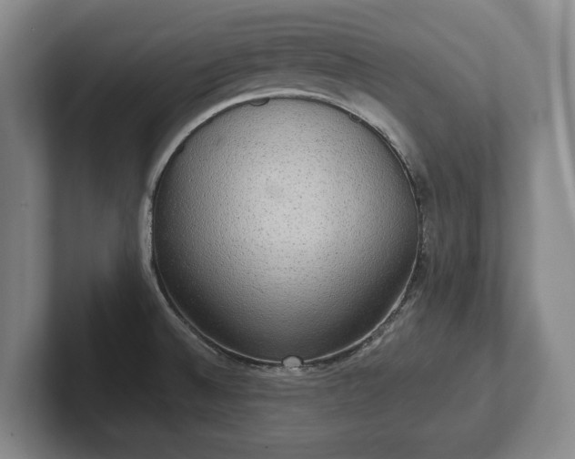 X0000102401524200808081254