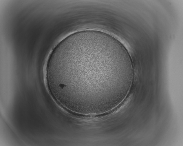 X0000102401525200808081254