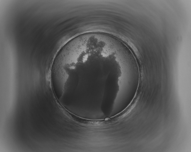 X0000102401529200808081254