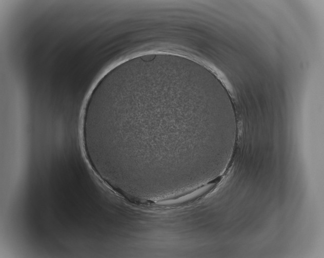 X0000102401530200808081254