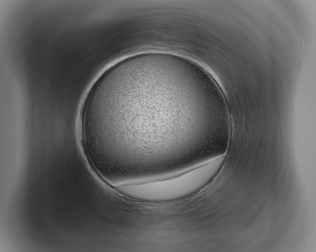 X0000102401531200808081254