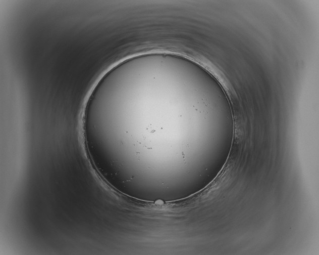 X0000102401532200808081254