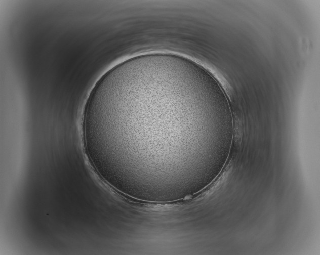 X0000102401534200808081254