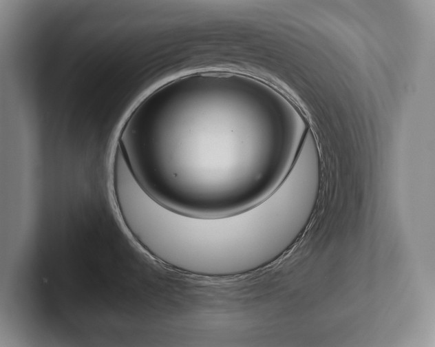 X0000102401536200808081254