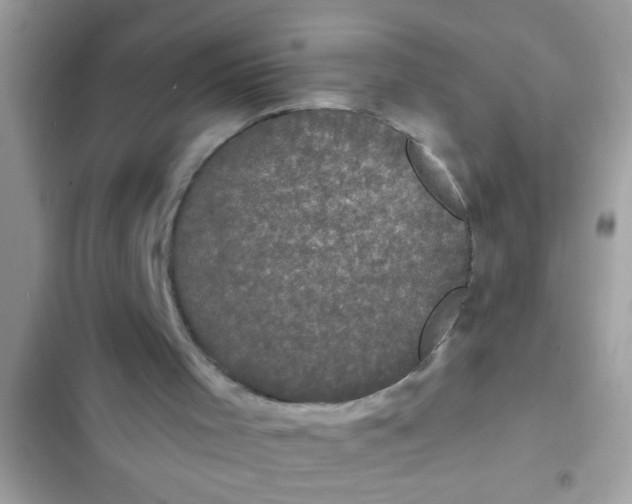 X0000102400001200808151953