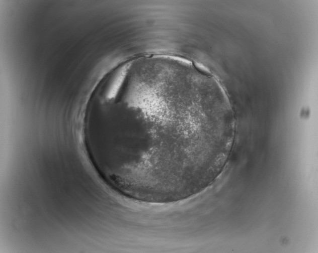 X0000102400002200808151953