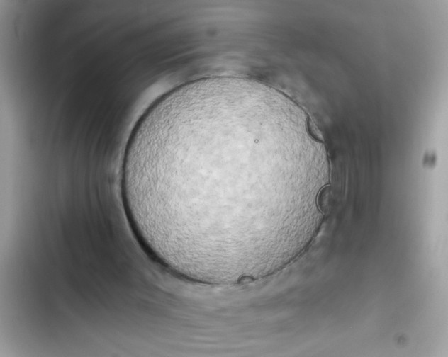 X0000102400003200808151953