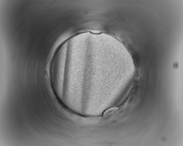 X0000102400004200808151953