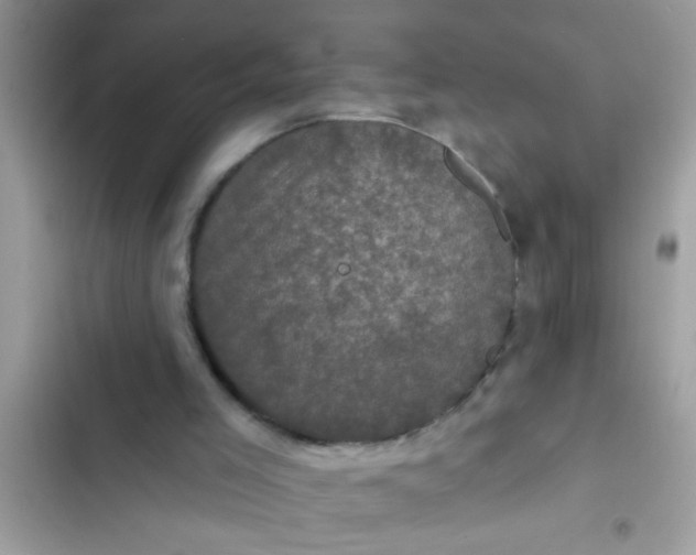 X0000102400005200808151953