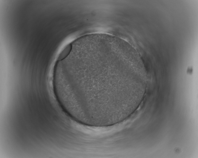 X0000102400006200808151953