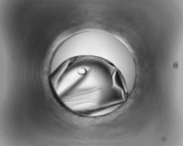 X0000102400007200808151953