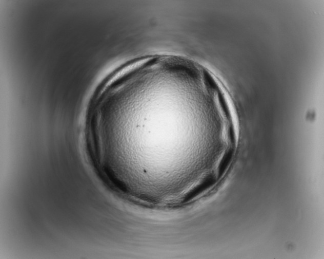 X0000102400008200808151953