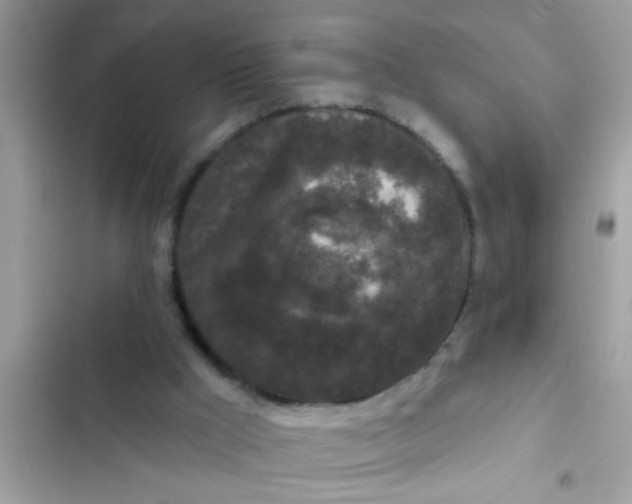 X0000102400009200808151953