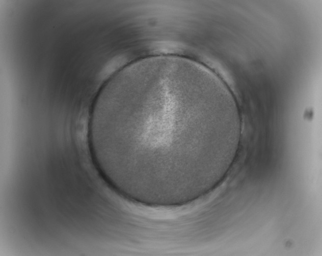 X0000102400010200808151953