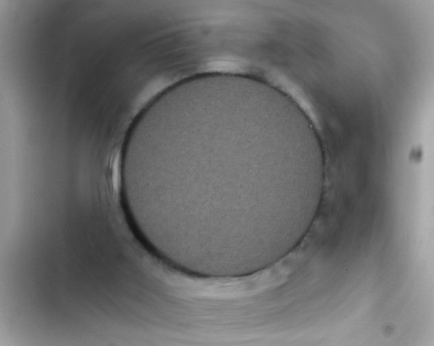 X0000102400011200808151953