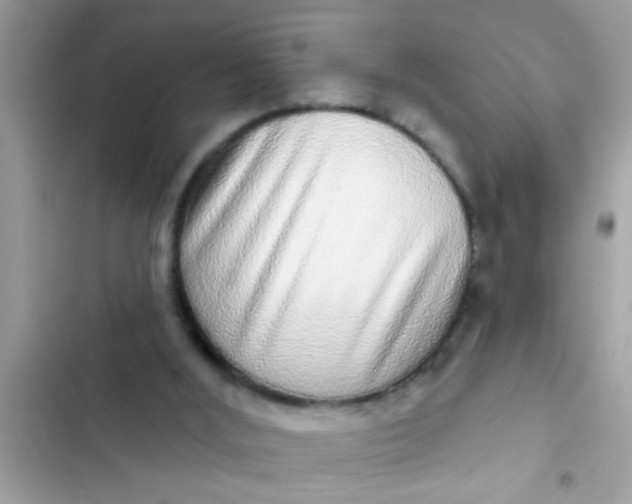 X0000102400012200808151953