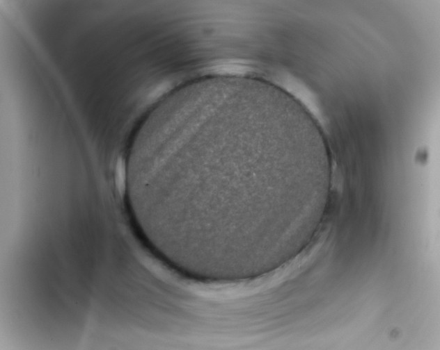 X0000102400013200808151953