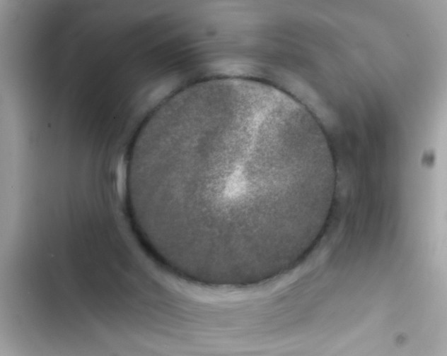 X0000102400014200808151953