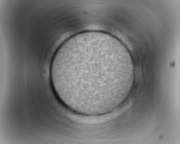 X0000102400015200808151953