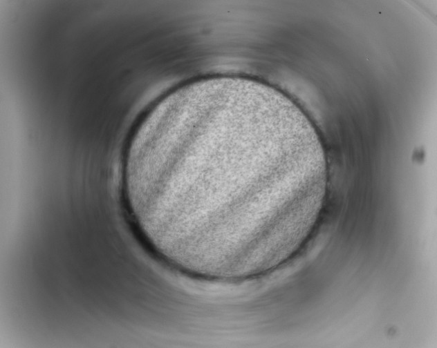 X0000102400016200808151953