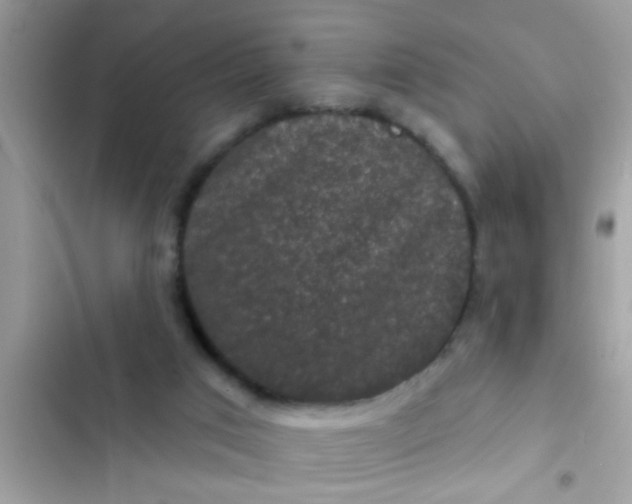 X0000102400017200808151953