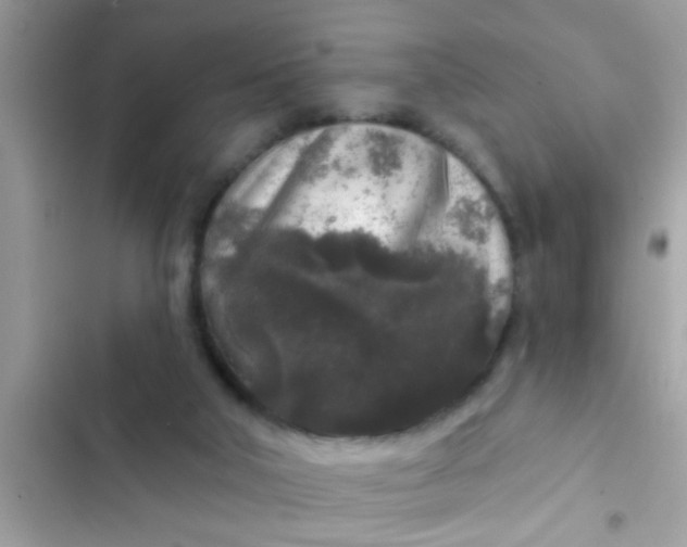 X0000102400018200808151953