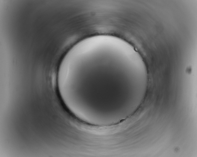 X0000102400019200808151953