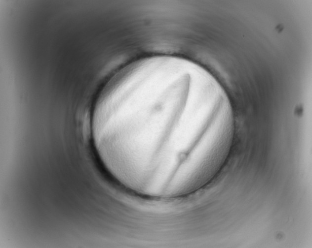 X0000102400020200808151953