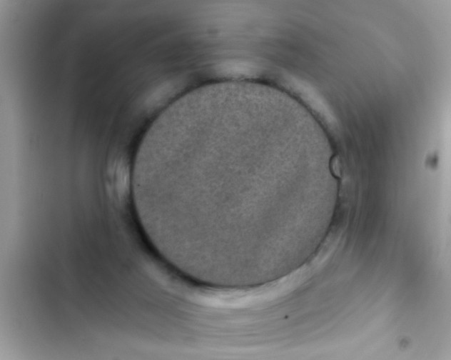 X0000102400021200808151953