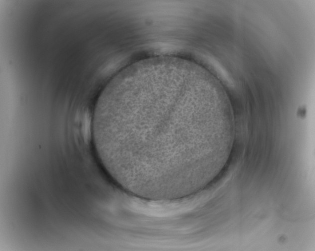 X0000102400022200808151953