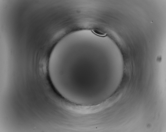 X0000102400023200808151953