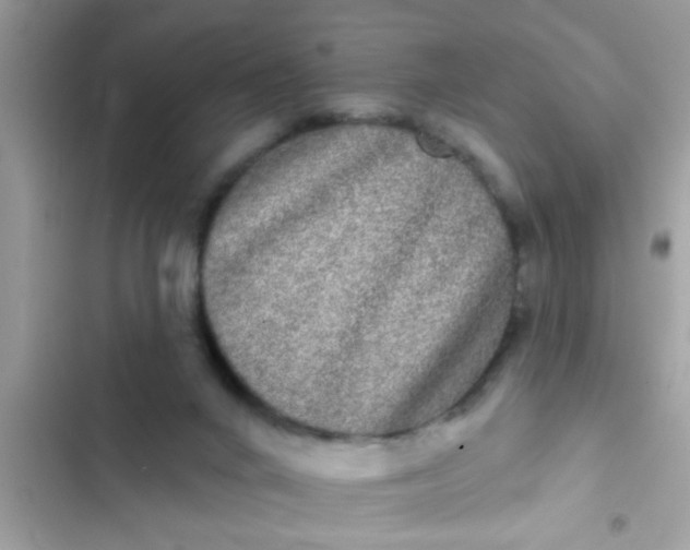 X0000102400024200808151953