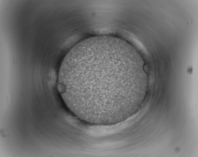 X0000102400025200808151953