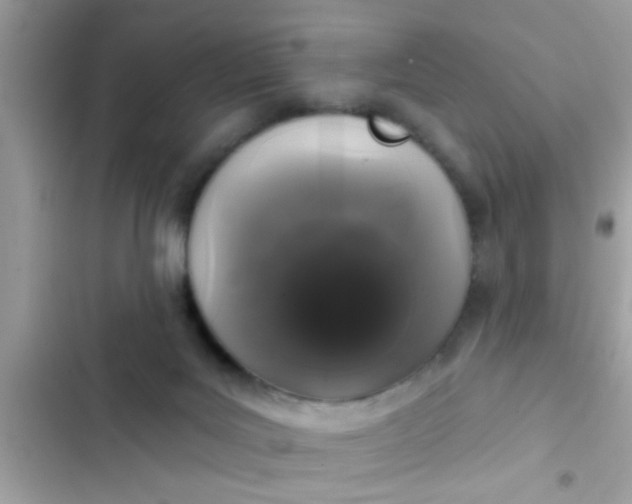 X0000102400027200808151953