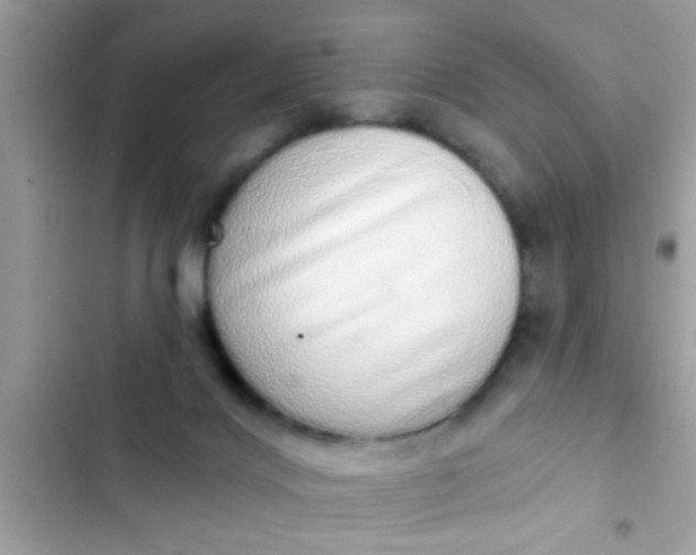 X0000102400028200808151953