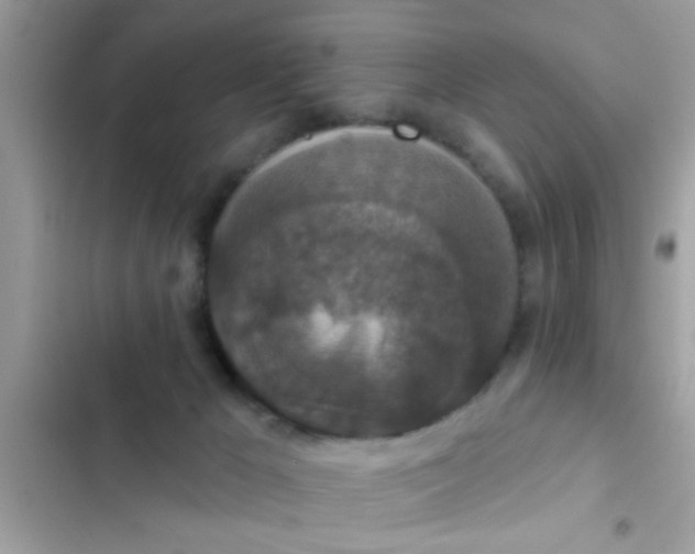 X0000102400029200808151953