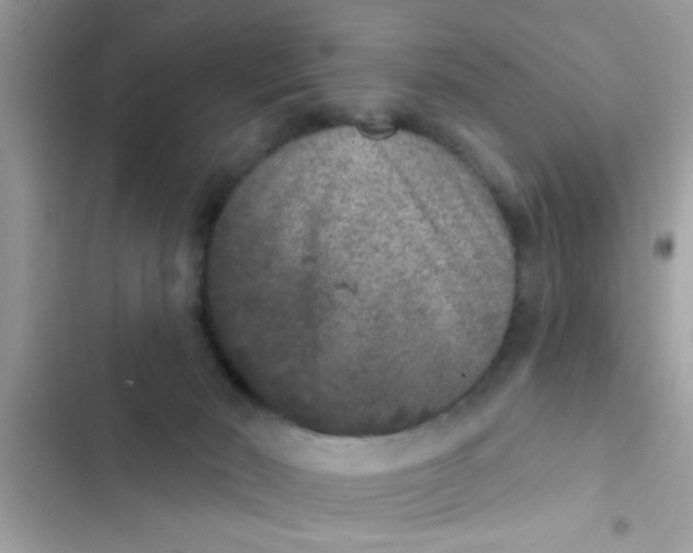 X0000102400030200808151953