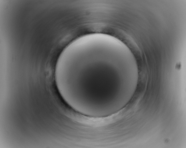 X0000102400031200808151953