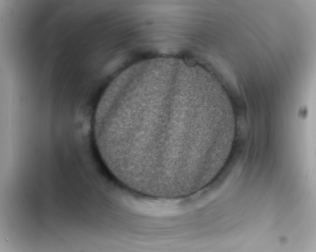 X0000102400032200808151953