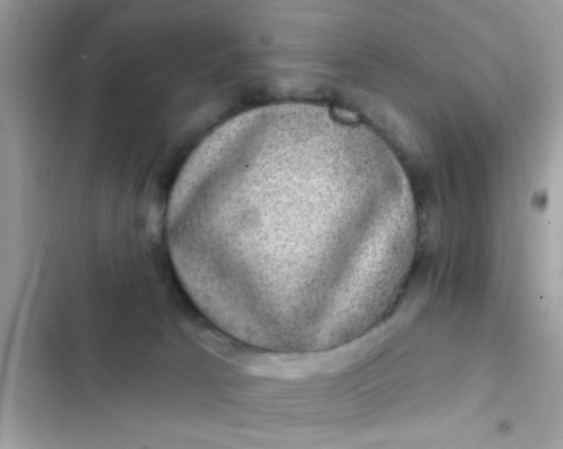 X0000102400033200808151953