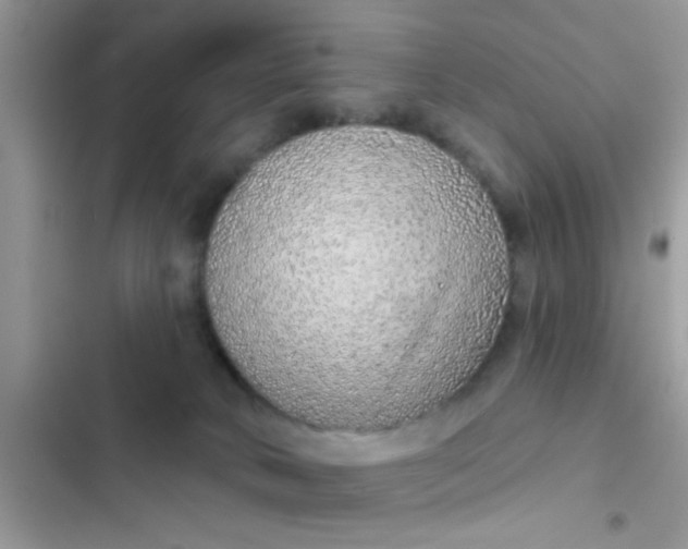 X0000102400034200808151953